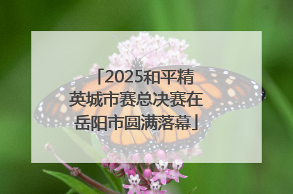 2025和平精英城市赛总决赛在岳阳市圆满落幕