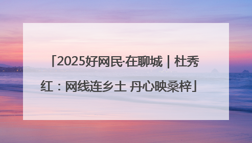 2025好网民·在聊城｜杜秀红：网线连乡土 丹心映桑梓