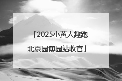 2025小黄人趣跑北京园博园站收官