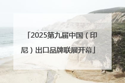 2025第九届中国（印尼）出口品牌联展开幕