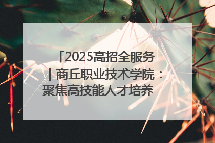 2025高招全服务｜商丘职业技术学院：聚焦高技能人才培养 谱写高质量发展篇章
