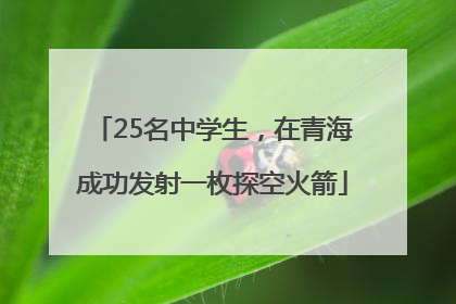 25名中学生，在青海成功发射一枚探空火箭