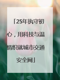 25年执守初心，用科技与温情织就城市交通安全网