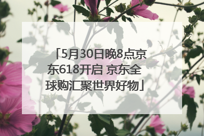 5月30日晚8点京东618开启 京东全球购汇聚世界好物