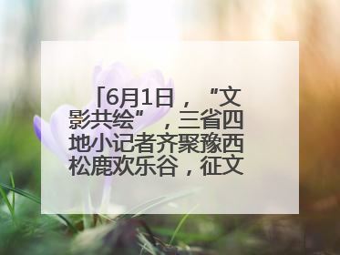 6月1日，“文影共绘”，三省四地小记者齐聚豫西松鹿欢乐谷，征文暨短视频大赛精彩启幕！