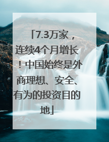 7.3万家，连续4个月增长！中国始终是外商理想、安全、有为的投资目的地