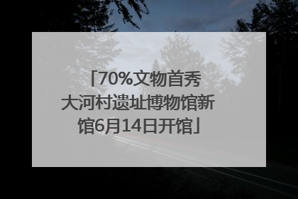 70%文物首秀 大河村遗址博物馆新馆6月14日开馆