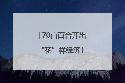 70亩百合开出“花”样经济