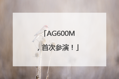 AG600M，首次参演！