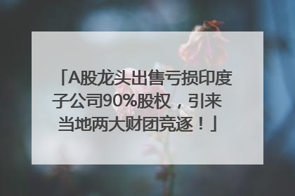 A股龙头出售亏损印度子公司90%股权，引来当地两大财团竞逐！