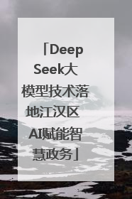 DeepSeek大模型技术落地江汉区 AI赋能智慧政务