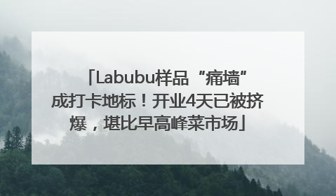 Labubu样品“痛墙”成打卡地标！开业4天已被挤爆，堪比早高峰菜市场